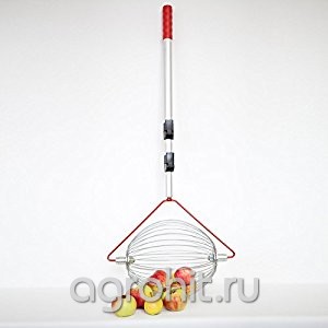 Подборщик для яблок Воронеж - изображение 1