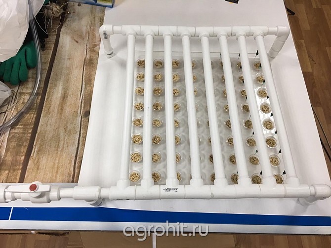 Сеялка для петунии Воронеж - изображение 1